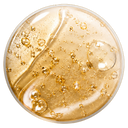 AA2GTM (6%)