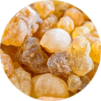 Boswellia Serrata