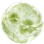 Irish Moss