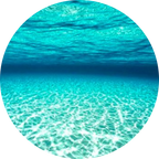 Colágeno marino - parches