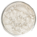DMAE (3%)
