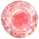 EXOSOMAS (Microalgas de Agua Dulce)