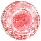 EXOSOMES (Freshwater Microalgae)