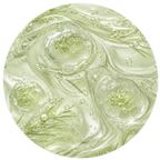 COBIOSTEM ALERCE
