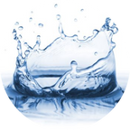 Purified Water