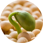 BIO-CAPIGEN VEG™ (3 %)
