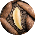 Cobiobalance