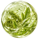 TÉ MATCHA JAPONÉS