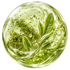 JAPANESE MATCHA TEA