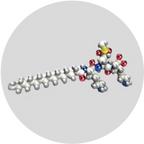 Matrixyl Synthe 6