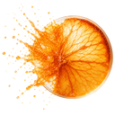 ORANGE STEM CELLS (2%)