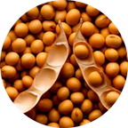 Proteoglicanos vegetales