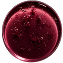 RESVERATROL
