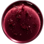 RESVERATROL