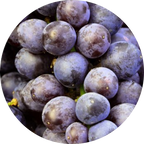 Resveratrol