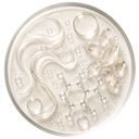 LUMISKIN™ (4%)