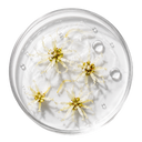 UNICDETOX & GO · AGUA DE HAMAMELIS (5%)