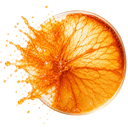 ORANGE STEM CELLS (2%)