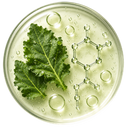 VITAMIN K