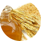Vitamina F